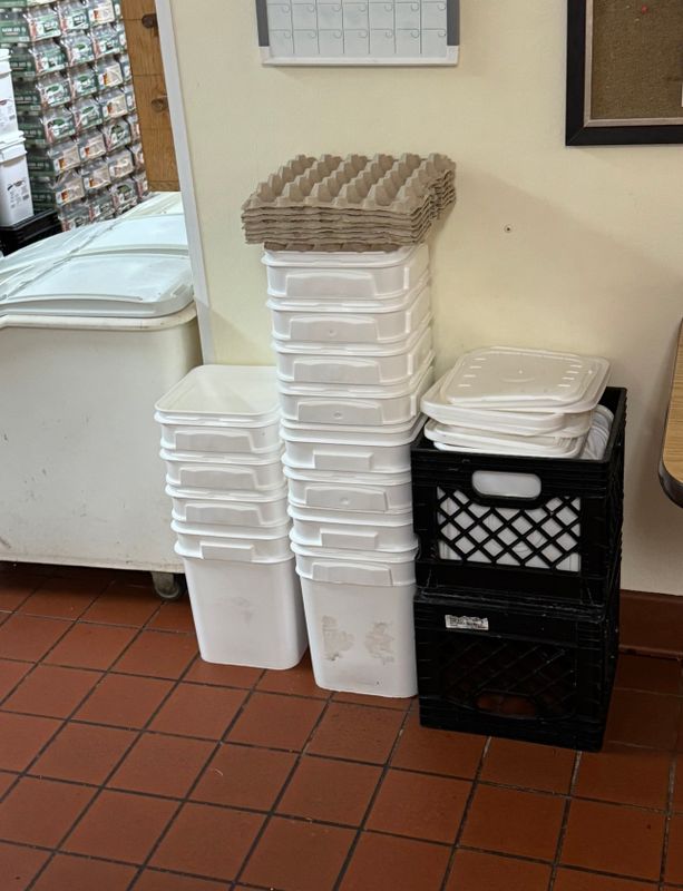 Commercial Pest Control 