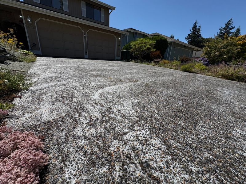 Driveway and Sidewalk Cleaning