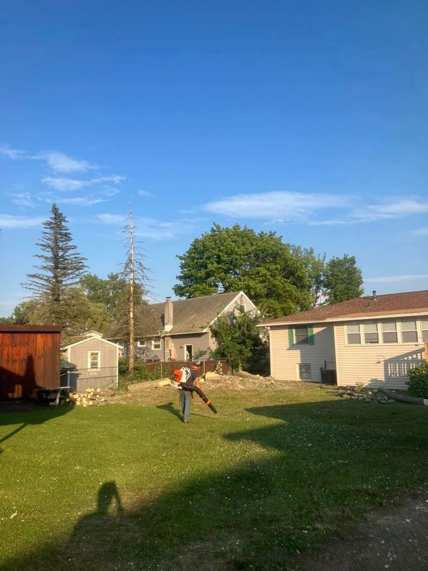 Tree Removal