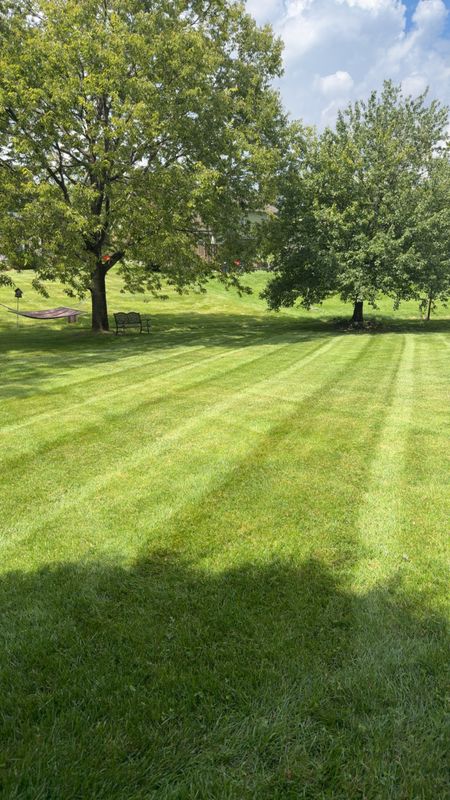 Lawn Mowing