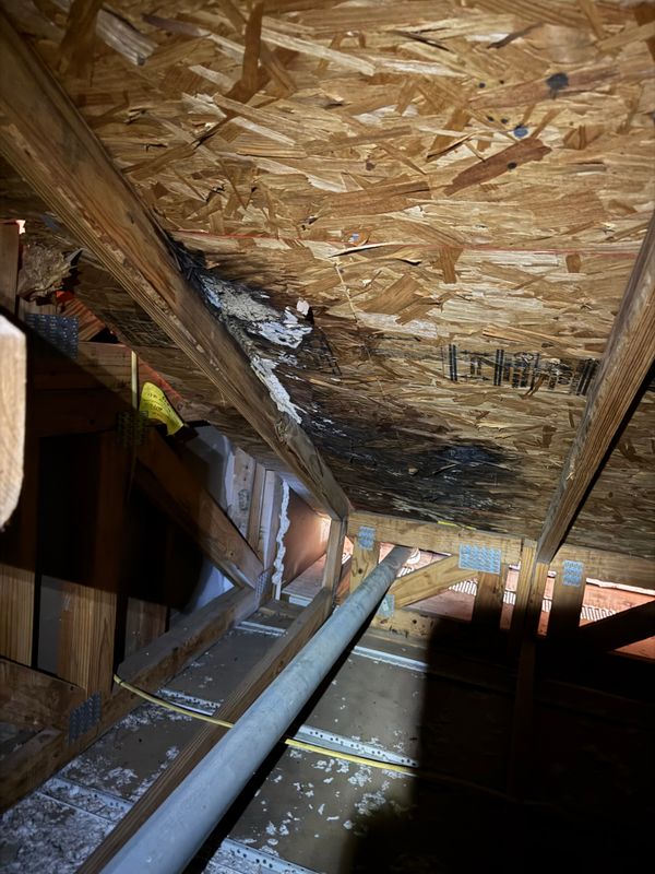Roofing Repairs
