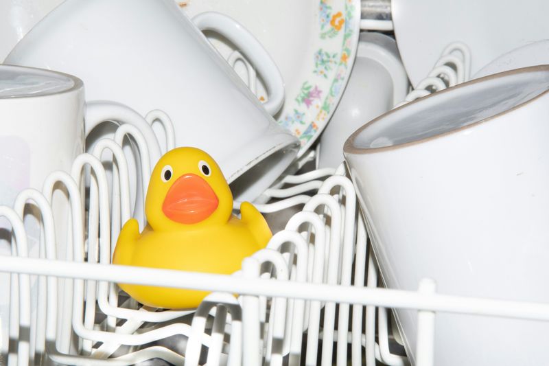 Dishwasher Repair