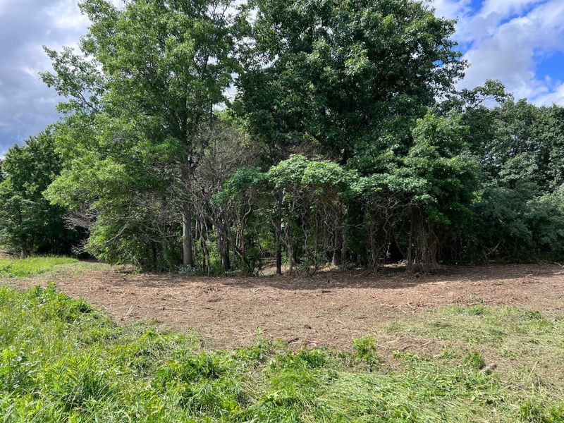 Forestry Mulching