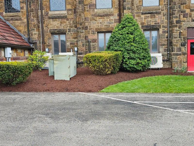 Tree & Shrub Care