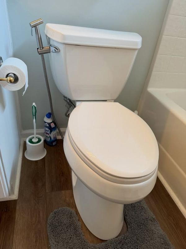 Toilet Repair and Replacement