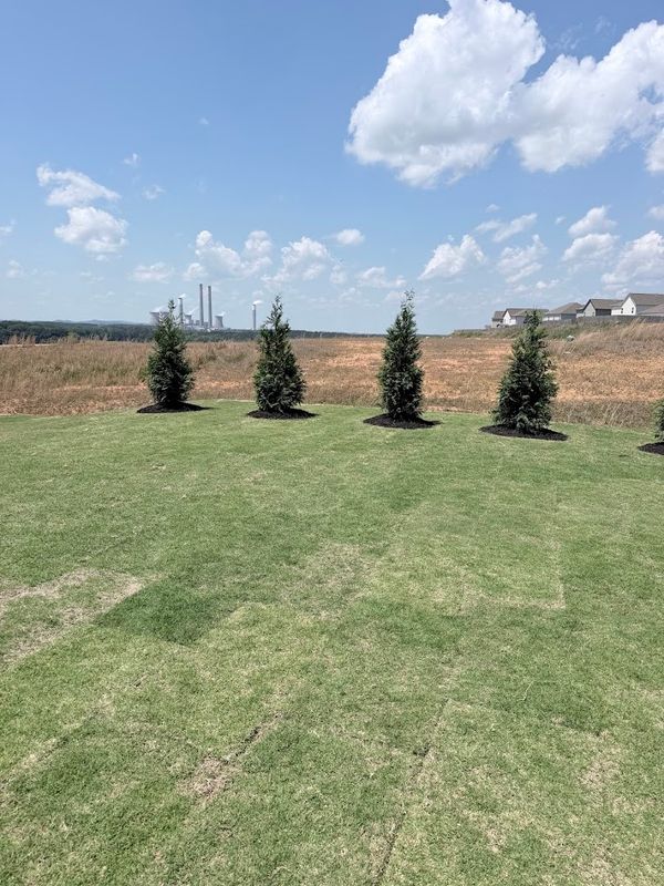 Landscape Design & Installation