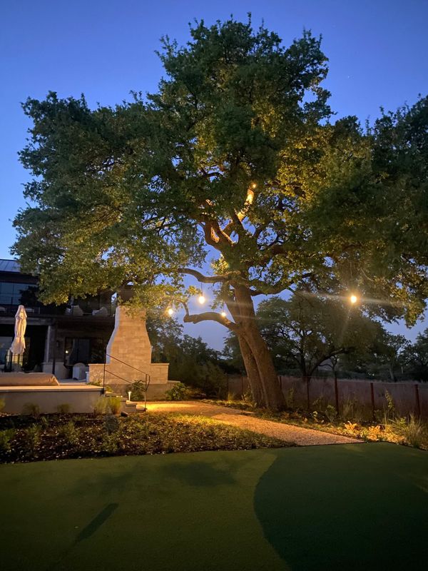 Landscape Lighting gallery