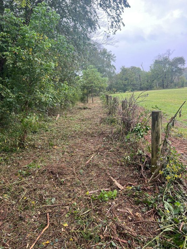 Bush Hogging