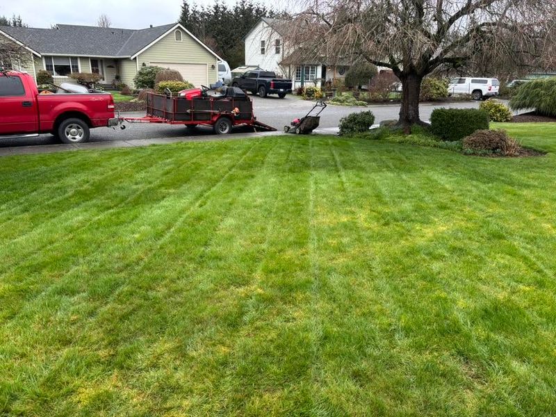 Hedge Trimming