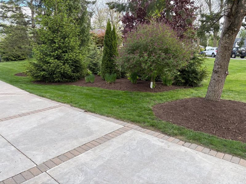 Garden Designs