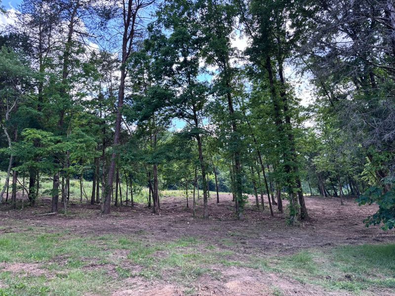 Land Clearing