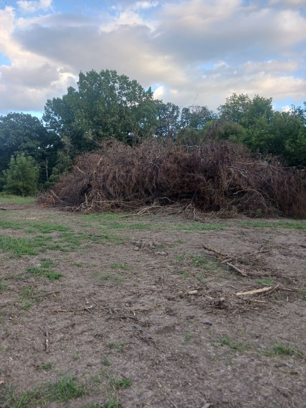 Land clearing