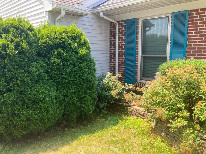 Tree & Shrub Care