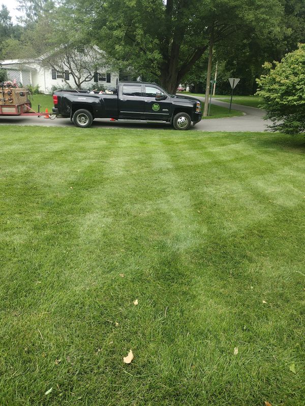 Lawn Care and Maintenance