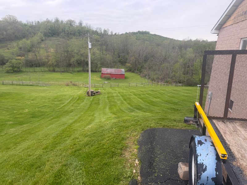 Lawn Care