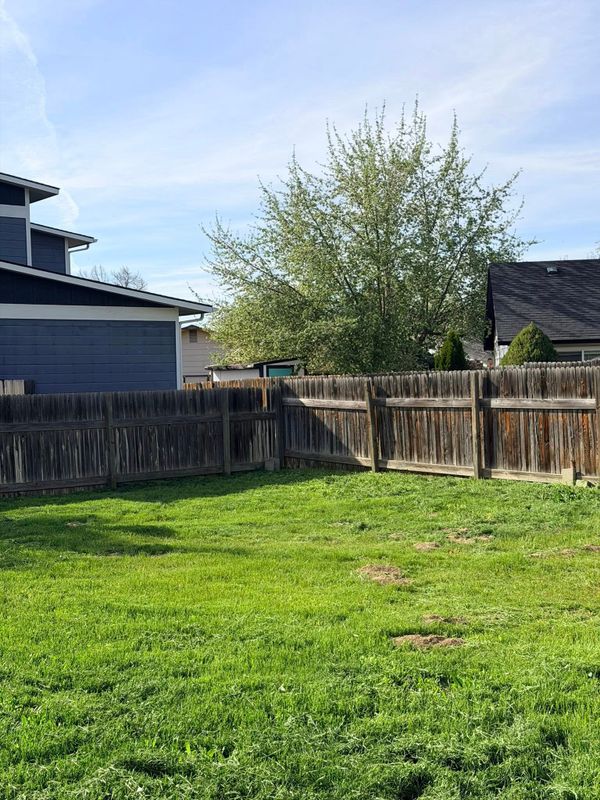 Lawn Mowing and Maintenance