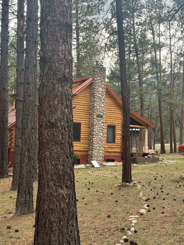 Log Home Restoration
