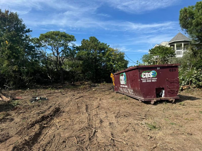 Lot Clearing
