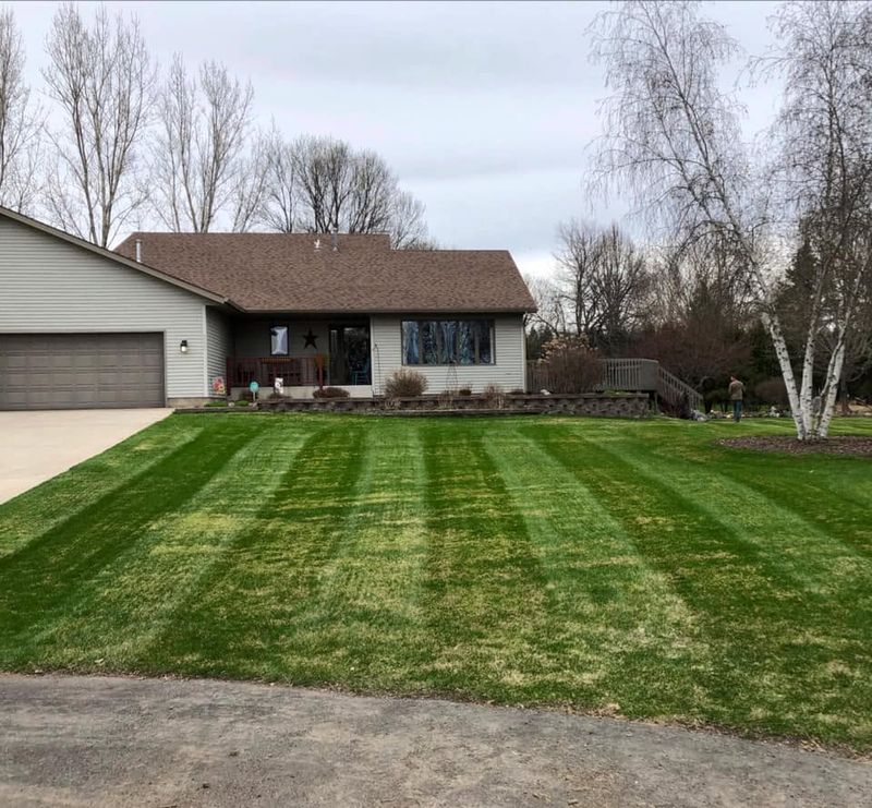 Lawn Maintenance