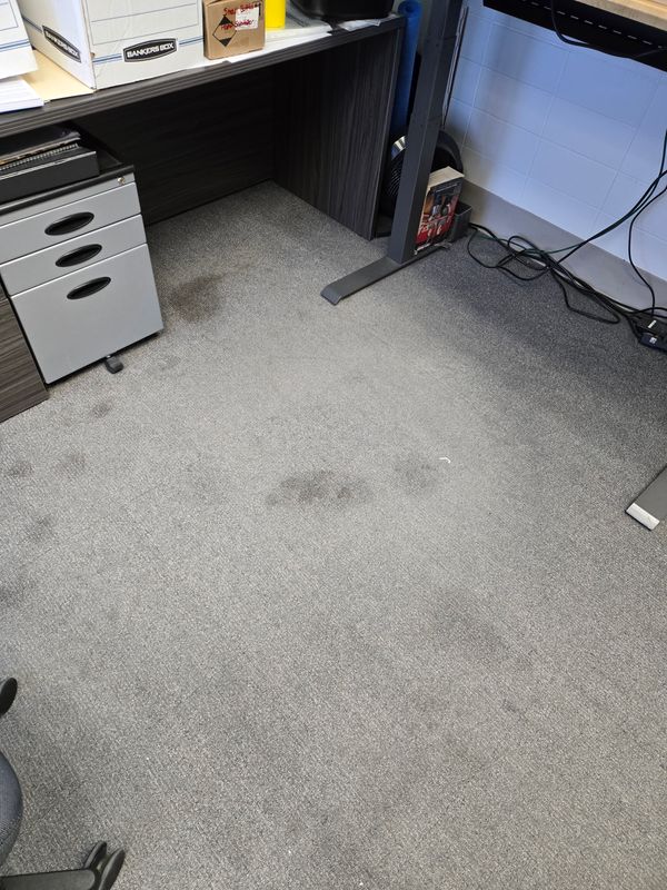 Carpet Cleaning