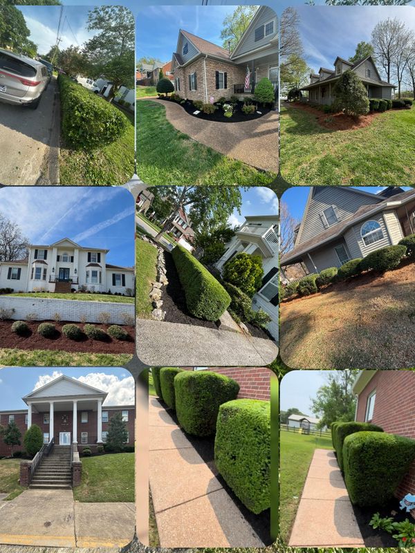 Lawn Maintenance