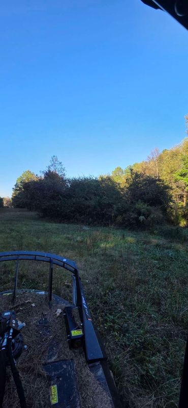 Brush Cutting