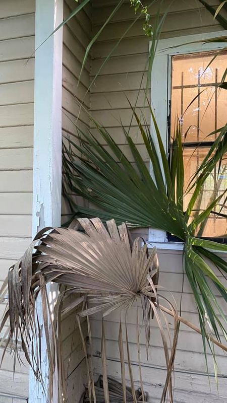 Exterior Renovations