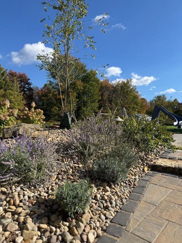 Landscape Design and Build