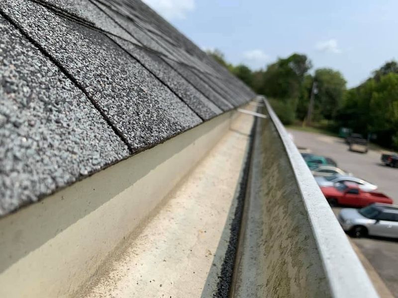 Gutter Cleaning