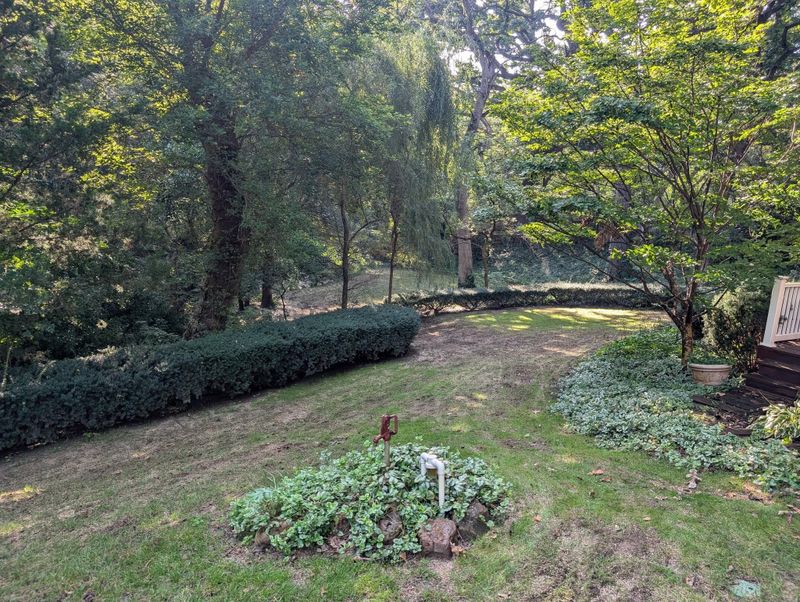Landscape Maintenance