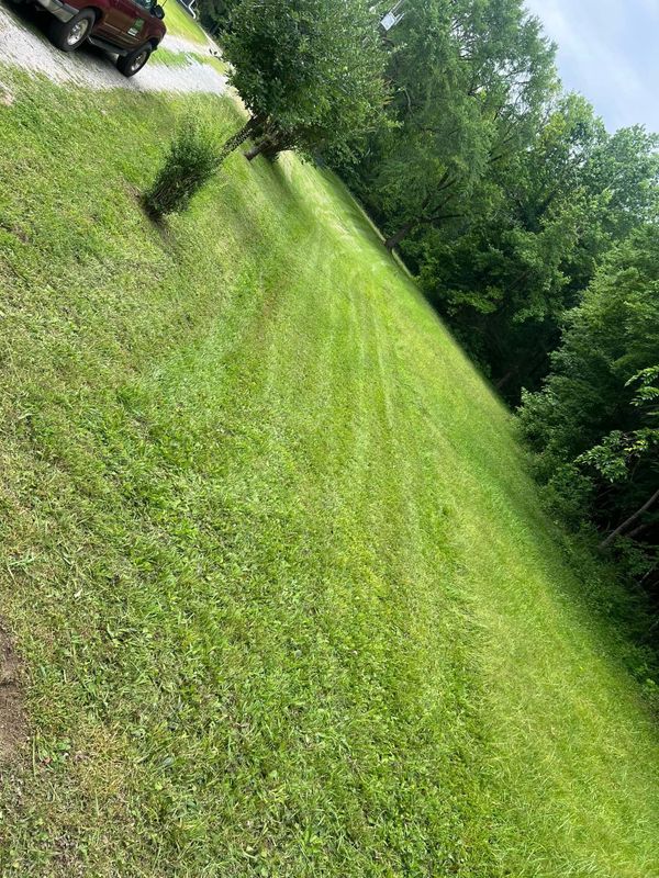 Landscaping
