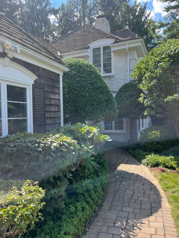 Tree & Shrub Care