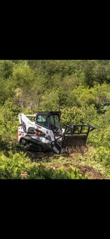 Forestry Mulching / Pasture Cleaning