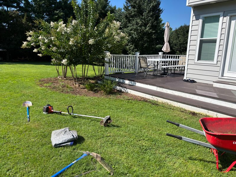 Lawn Maintenance