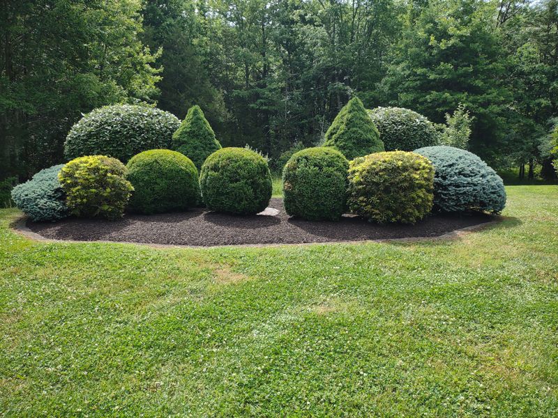 New Landscapes