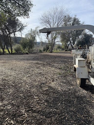 Land Clearing