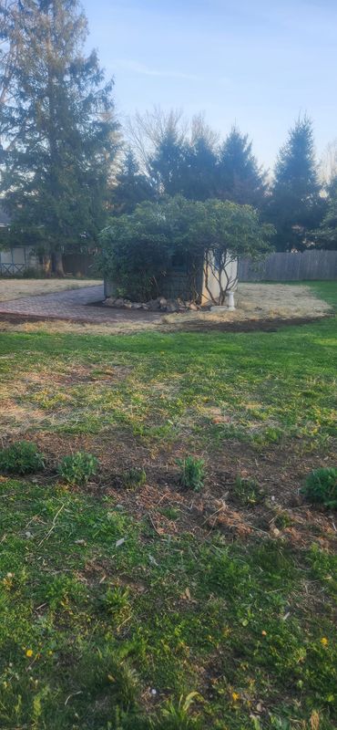 Landscaping & Hardscaping