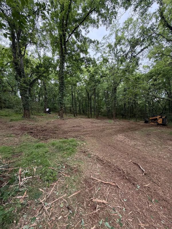 Brush Clearing