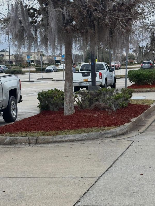 Mulch Installation