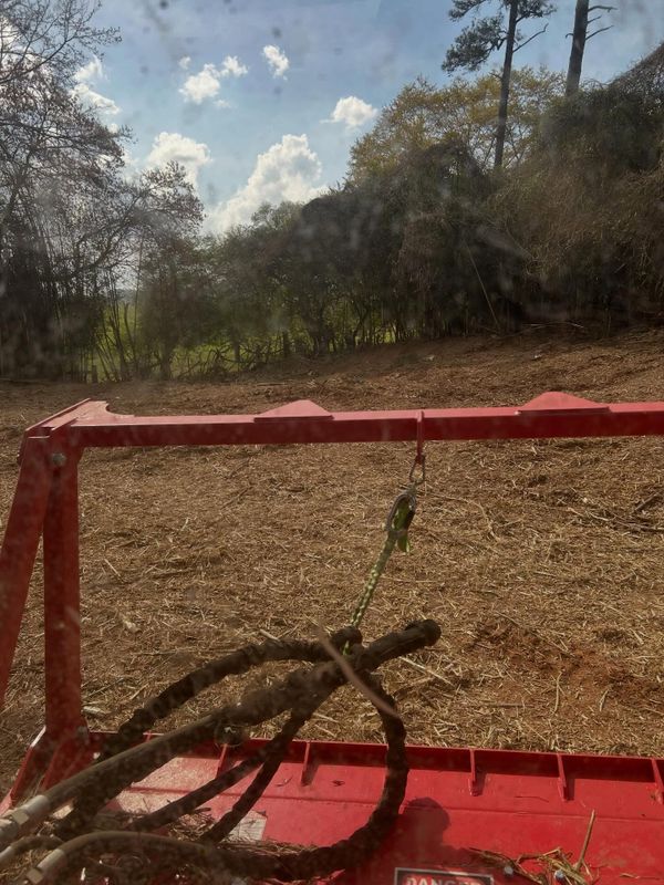 Land Clearing Photos