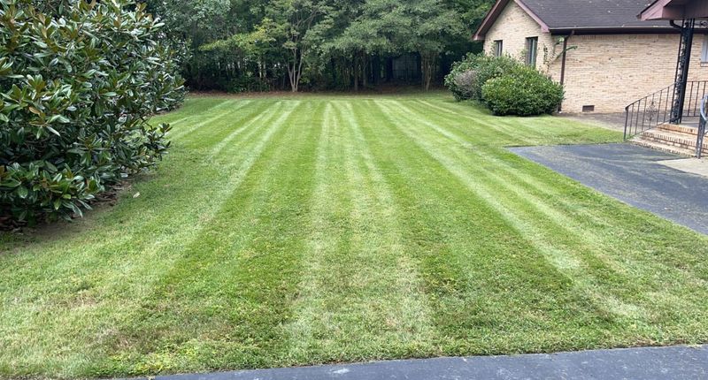Lawn Mowing