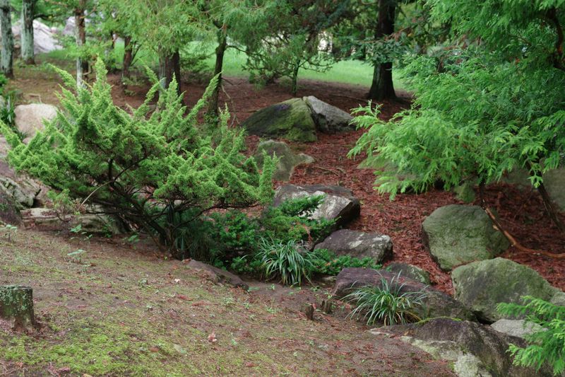 Landscape Design
