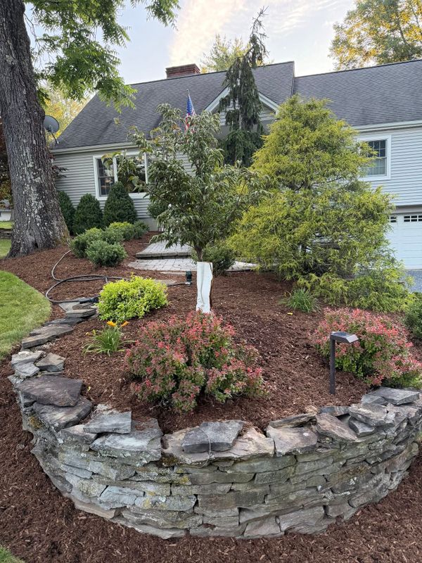 Tree & Shrub Care
