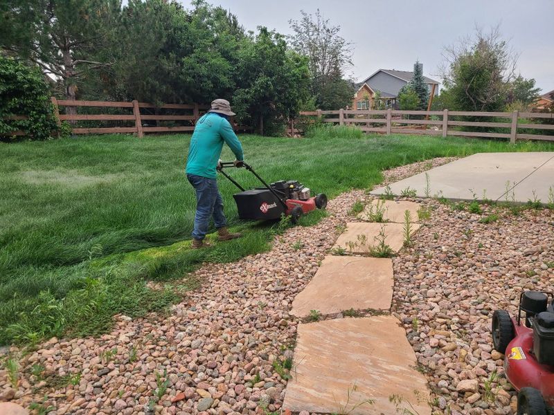 Lawn Mowing