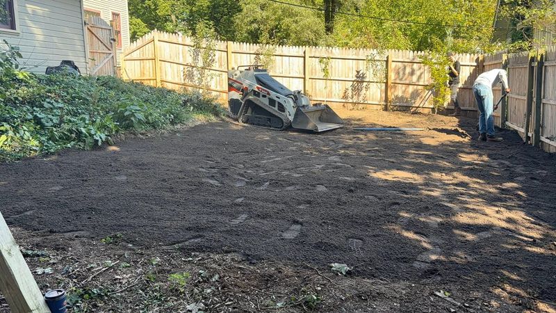 Brush Removal & Land Clearing