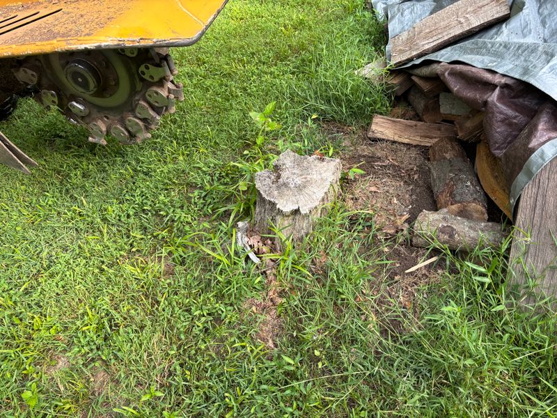 Stump Removal