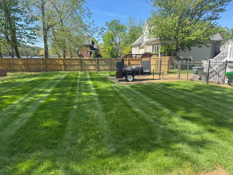 Lawn Mowing