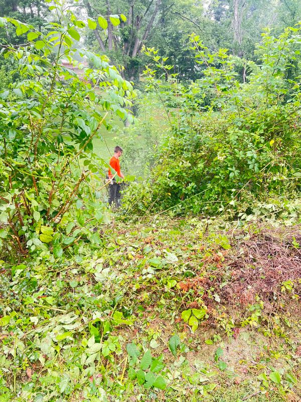 Land Clearing