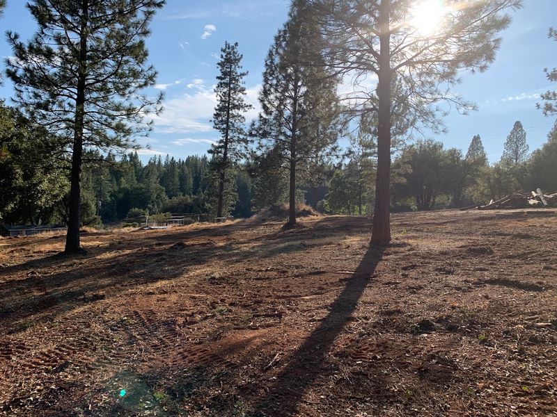 Site Leveling and Grading