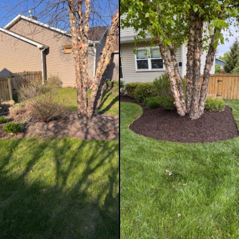 Before & After